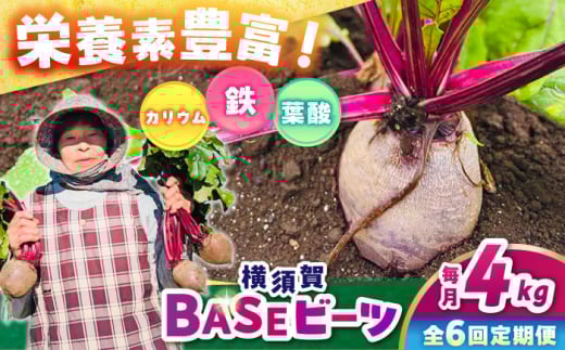 【全6回定期便】横須賀BASEビーツ 4kg（1kg×4袋）【ゆり子ファーム】 [AKCR005]
