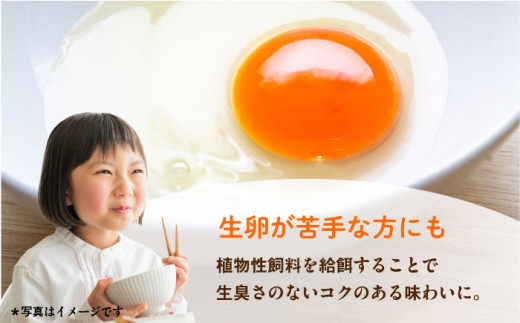 餌にこだわった三浦半島産赤たまご 20個 卵 たまご 【横須賀商工会議所　おもてなしギフト事務局（岩沢ポートリー）】 [AKET003]