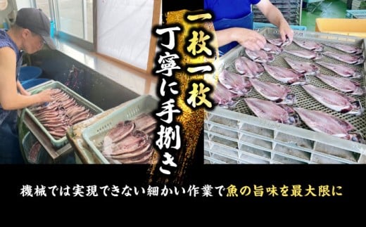 【訳あり】漁師町佐島 真アジの開き 約2.8kg（40枚前後）セット 干物 アジ 鯵 開き 魚 横須賀 冷凍干物 厳選干物 人気干物 干物セット【石川水産】 [AKCX001]