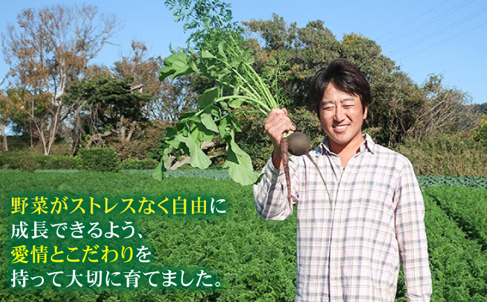 【先行予約】【全2回定期便】冬の汎用野菜セット（5〜6品目）冬（12月〜1月）【鈴也ファーム】 [AKCE027]
