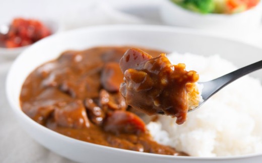 よこすか海軍カレールウ 150g×30個【横須賀商工会議所 おもてなしギフト事務局（株式会社ヤチヨ）】 [AKDZ002]