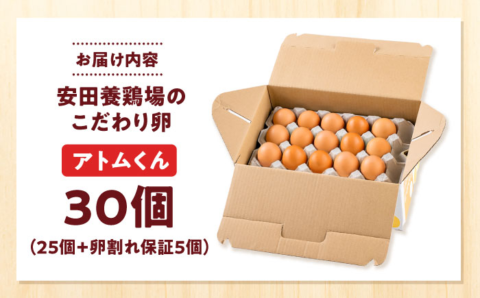 安田養鶏場の卵 アトムくん 50個入り 横須賀市 産地直送 割れ保証付き たまご 黄身 濃厚 卵 玉子 タマゴ 鶏卵【安田養鶏場】 [AKHN004]