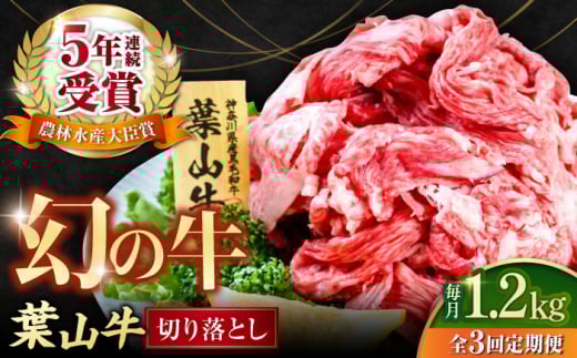 【全3回定期便】葉山牛 切り落とし300g×4パック 国産牛 牛肉 切り落とし 高級和牛 冷凍 黒毛和牛 国産 希少品種 小分け 横須賀 すき焼き すきやき ぎゅうにく きりおとし 大容量 神奈川銘品 計1.2kg【株式会社羽根】 [AKAG033]