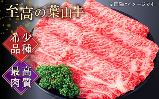 【全12回定期便】葉山牛肩ロースすき焼き用 250g×2パック 小分け 牛肉 すきやき 冷凍  計500g とろける 国産牛 贅沢 牛肉 切り落とし うす切り 高級和牛 冷凍 黒毛和牛 国産 和牛 肩ロース 赤身 希少品種 小分け すき焼き すきやき しゃぶしゃぶ ぎゅうにく きりおとし 大容量 横須賀 お取り寄せ【株式会社羽根】 [AKAG038]