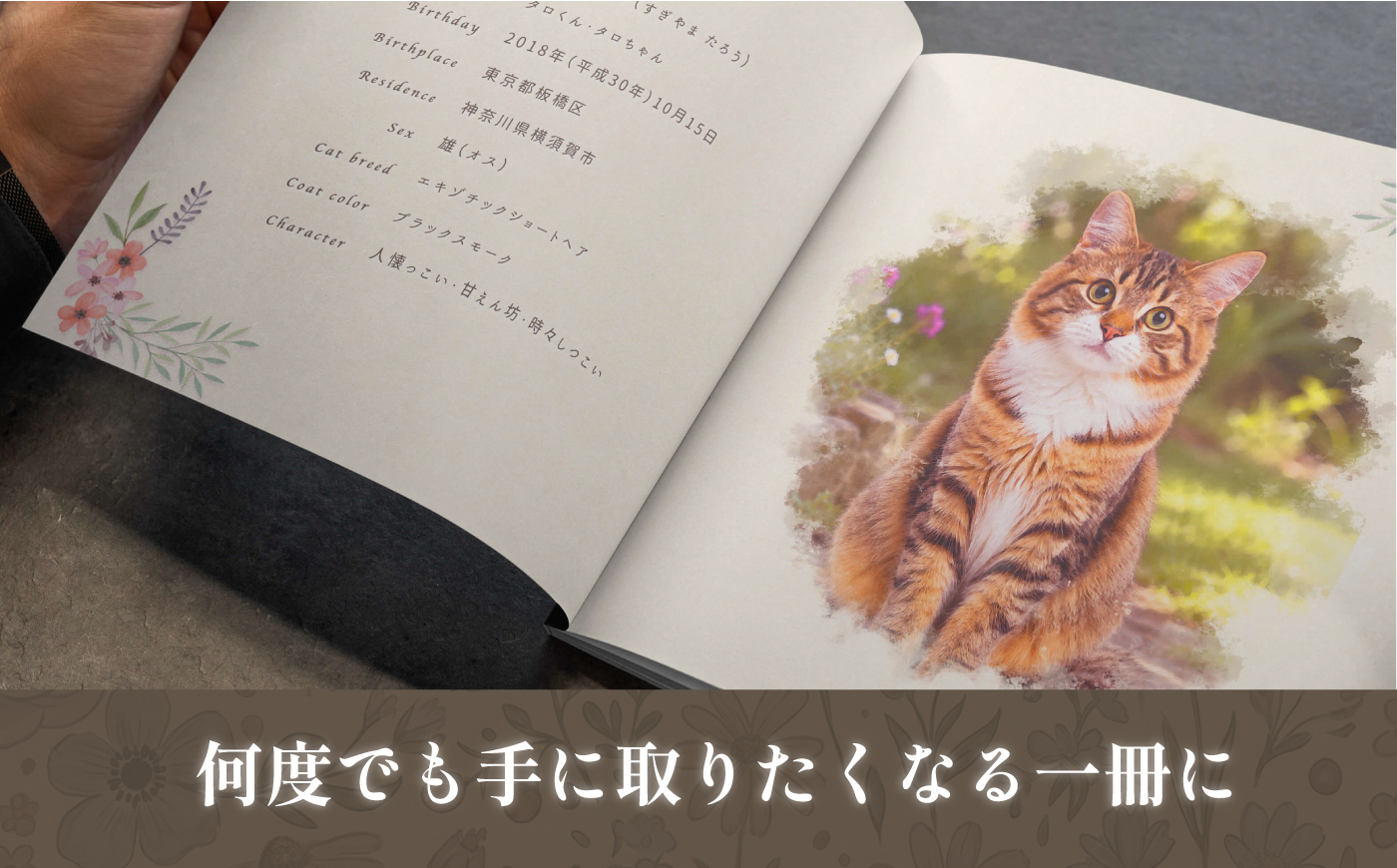 全国対応｜ペットの本（電話＆スマホ完結/3冊 ペットの絵本コース）【すぎやま本制作】 [AKIB006]