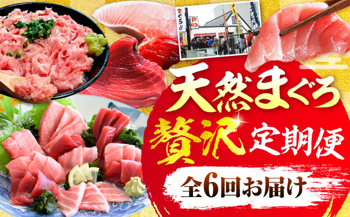 【全6回定期便】まぐろ 豪華 食べ比べ 定期便 【横須賀商工会議所 おもてなしギフト事務局（本まぐろ直売所 横須賀本店）】 [AKAK123]