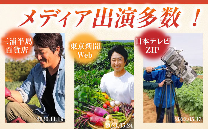 【先行予約】【全2回定期便】夏の汎用野菜セット（5〜6品目）夏（7月〜8月）【鈴也ファーム】 [AKCE028]