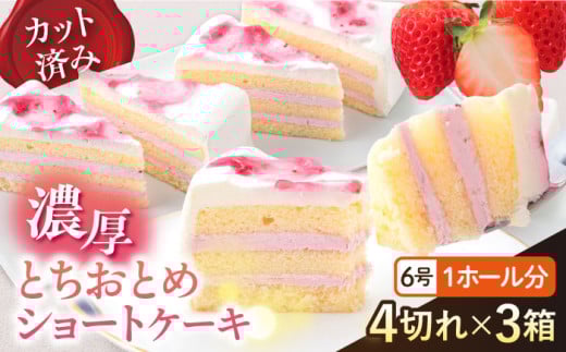 ドルチェケーキ とちおとめショート ケーキ 計12個（4個×3箱） 【ファミール製菓株式会社】 [AKCI022]