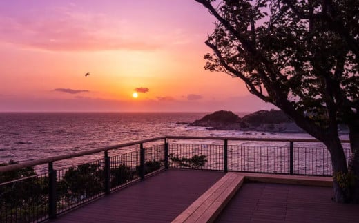 ソレイユの丘 森のキャビン宿泊チケット トレーラーキャビン1泊分 宿泊【株式会社日比谷花壇】 [AKBO015]