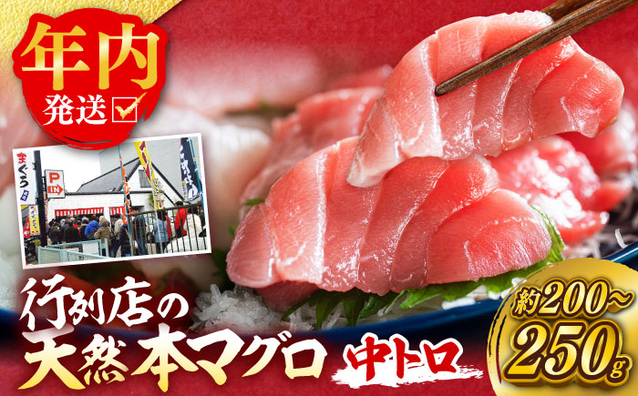 天然 本まぐろ 中トロ（約200～250g（1柵入り））【横須賀商工会議所 おもてなしギフト事務局（本まぐろ直売所 横須賀本店）】 [AKAK118]