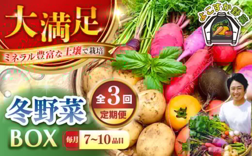 【先行予約】【全3回定期便】すずなり採れたて野菜BOX　(7～10品)  冬（12月～2月） 野菜  やさい 詰め合わせ 詰合せ 【鈴也ファーム】 [AKCE008]