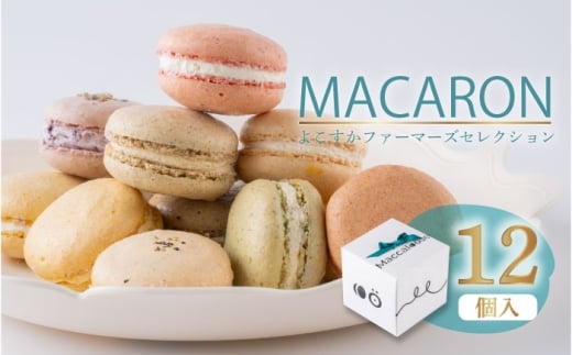 マカロン12個セット　よこすかfarmersSelection マカロン　お菓子　スイーツ 野菜　【マカルース】 [AKGS002]
