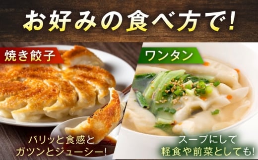 訳あり 本格餃子 50個セット 訳あり 本格 餃子  ぎょうざ 国産 ギョーザ 野菜 わけあり ワケアリ 冷凍餃子 ぎょうざ ジューシー 中華 セット 詰め合わせ 国産野菜 大容量 たっぷり 惣菜 横須賀  【株式会社オウモリ食品】 [AKHQ001]