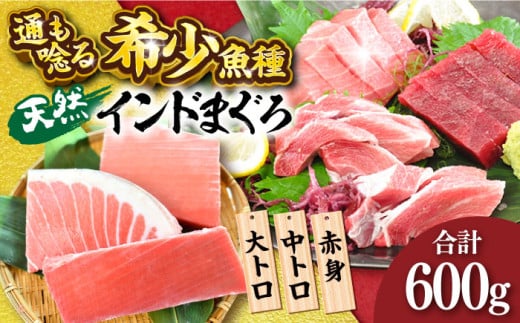 天然 まぐろ 大トロ・中トロ・赤身（約200ｇ×3柵）約600ｇ 鮪 マグロ 魚 刺身 横須賀【本まぐろ直売所】 [AKAK020]