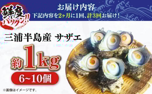 【全3回 隔月 定期便】サザエ 1kg 6～10個 三浦半島 さざえ バーベキュー BBQ 貝 直送 つぼ焼き 新鮮 獲れたて 魚貝類 魚介類 魚介 海鮮 海の幸 名産品 特産品 定期【長井水産株式会社】 [AKAJ011]