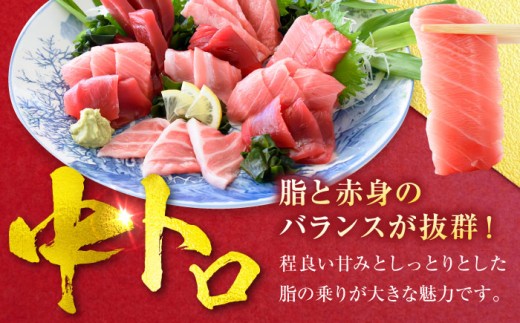 天然 まぐろ 中トロ＆赤身 各1柵（計約450g）【横須賀商工会議所 おもてなしギフト事務局（本まぐろ直売所 横須賀本店）】 [AKAK115]