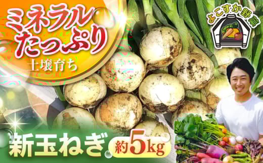 【先行予約】新玉ねぎ 約5kg 野菜 やさい 【鈴也ファーム】 [AKCE019]