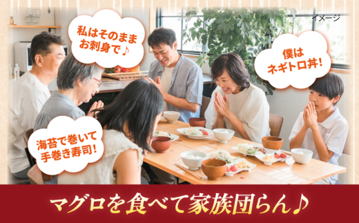 【全6回定期便】【訳あり】天然 本まぐろ 中トロ 計約900g (4柵入り) 鮪 マグロ 魚 刺身 横須賀【本まぐろ直売所】 [AKAK069]