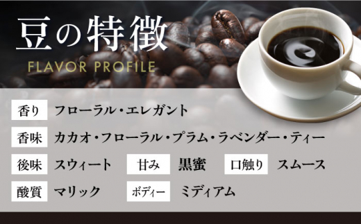 【全6回定期便】コーヒー豆 自家焙煎 中煎り グアテマラ 200g×4 TSUKIKOYA COFFEE ROASTER ツキコヤ 珈琲 こだわり 横須賀【株式会社RUINS】 [AKAD014]