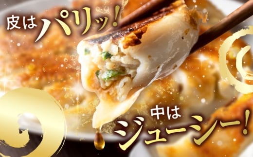 訳あり 本格餃子 50個セット 訳あり 本格 餃子  ぎょうざ 国産 ギョーザ 野菜 わけあり ワケアリ 冷凍餃子 ぎょうざ ジューシー 中華 セット 詰め合わせ 国産野菜 大容量 たっぷり 惣菜 横須賀  【株式会社オウモリ食品】 [AKHQ001]