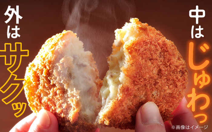 メンチカツ 10個 900g 【三富屋商事株式会社】 [AKFJ106]