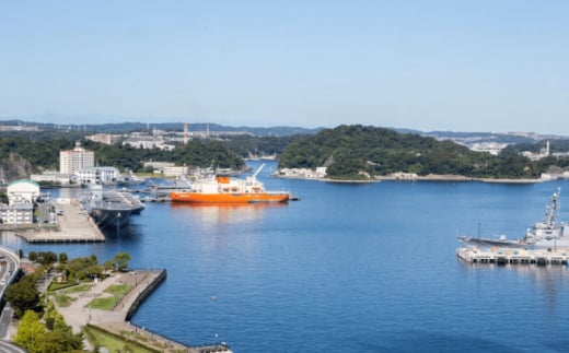 よこすか海軍カレーセット 200g×6箱 セット 海軍カレー カレー レトルトカレー レトルト食品 かれー カレーライス レトルト カレー 自宅用 簡単料理 ごはんのお供 国産 銘品 横須賀 海軍カレー ご当地カレー 人気 おいしい 便利  【メルキュール横須賀】 [AKCF001]