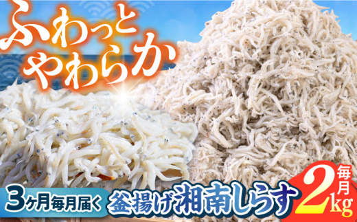 【全3回定期便】釜揚げ 湘南しらす 1kg×２P / しらす 湘南 ふわふわ 食感 冷凍 国産 シラス お取り寄せ 人気 大容量 佐島 横須賀 かながわブランド 神奈川県【平敏丸】 [AKEZ014]