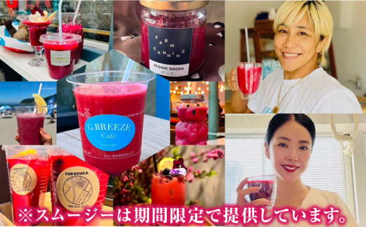 【全6回定期便】横須賀BASEビーツ 10kg（1kg×10袋）【ゆり子ファーム】 [AKCR011]