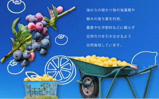 オリジナル トートバッグ ユートピア（ファーマシーガーデン浦賀） Mサイズ 横須賀【ファーマシーガーデン浦賀】 [AKBG004]