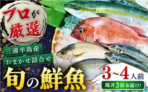 【全3回 隔月 定期便】旬のおまかせ 厳選鮮魚セット 3～4人前(2～3魚種) 三浦半島産 旬の鮮魚 詰め合わせ セット プロが厳選  横須賀 鮮度抜群 海の幸 生魚 定期 海鮮 魚介 獲れたて【長井水産株式会社】 [AKAJ017]