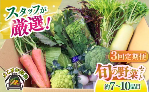 【全3回定期便】よこすか野菜セット すかなボックス 野菜 お野菜 季節野菜 やさい 詰め合わせ 詰合せ セット お楽しみ 産地直送 旬 厳選 すかなごっそ 農産物 神奈川県 横須賀市【JAよこすか葉山】 [AKFO007]