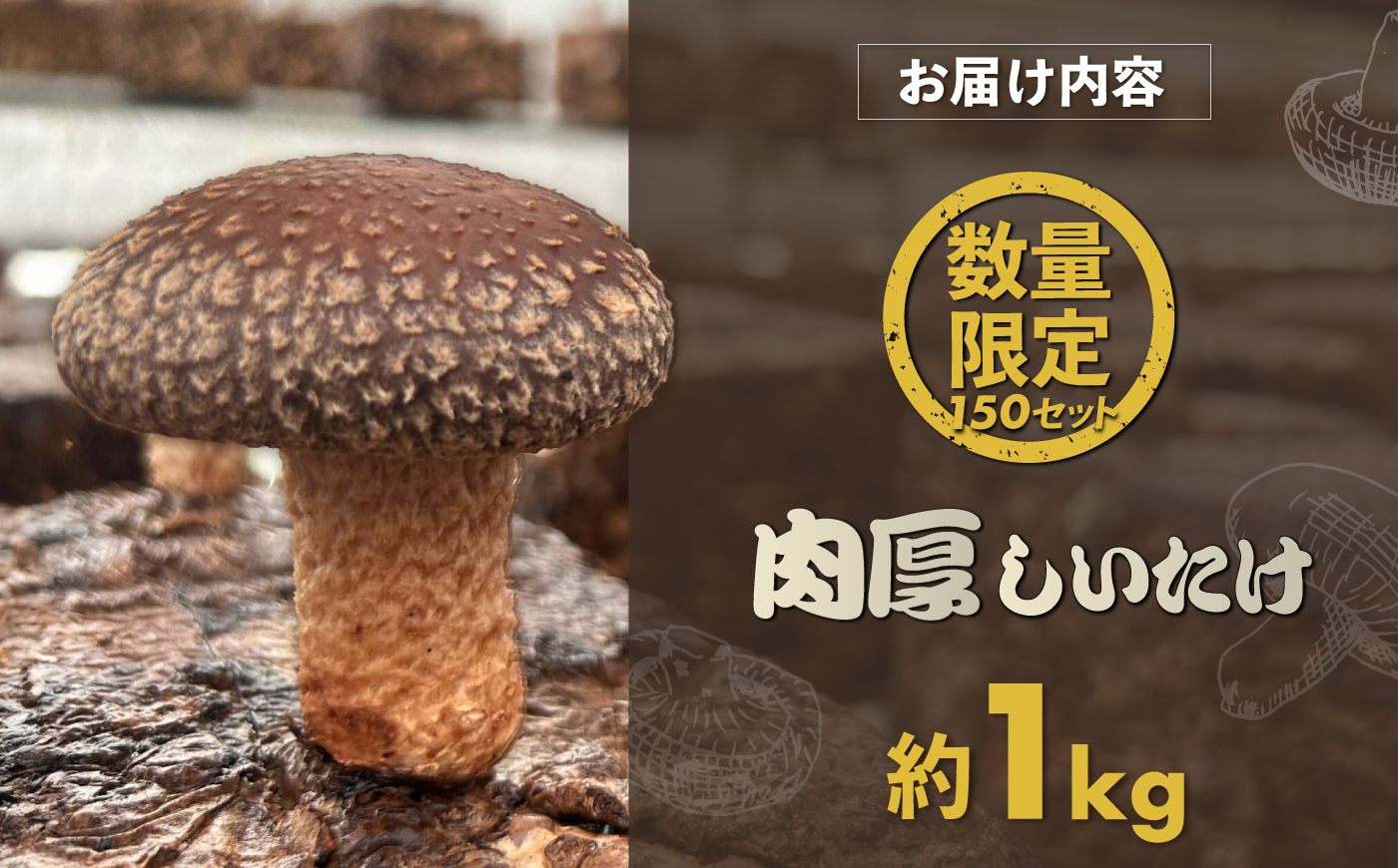 【先行予約】【数量限定150セット】不揃い肉厚しいたけ 約1kg【株式会社ローランズ】 [AKIO001]