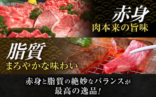 葉山牛 切り落とし300g×3パック 計900g 小分け 牛肉 切り落とし 横須賀 冷凍 【株式会社羽根】 [AKAG002]