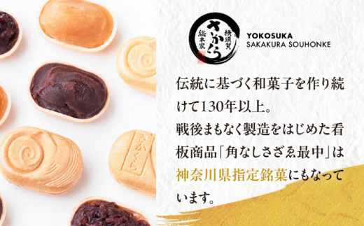 横須賀どら焼き 10個セット 4種類 バター 抹茶 コーヒー プレーン 和菓子 菓子 スイーツ どらやき 【有限会社さかくら総本家】 [AKEI010]