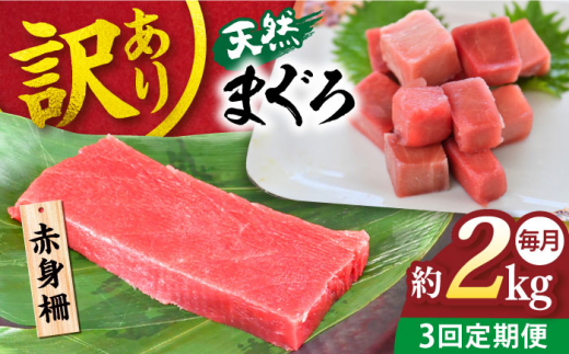【全3回定期便】【訳あり】天然 まぐろ 赤身（約2kg） わけあり ワケあり 鮪 マグロ 魚 刺身 まぐろ あかみ 横須賀【本まぐろ直売所】 [AKAK059]
