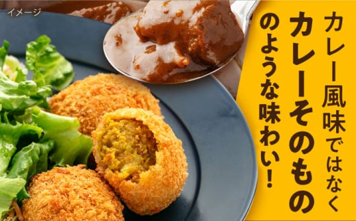 本気のカレーコロッケ20個 0.8kg カレー ころっけ 惣菜 お弁当 パーティ 大人数 揚げ物 横須賀【三富屋商事株式会社】 [AKFJ017]