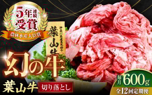 【全12回定期便】葉山牛 切り落とし300g×2パック 国産牛 牛肉 切り落とし 高級和牛 冷凍 黒毛和牛 国産 希少品種 小分け 横須賀 すき焼き すきやき ぎゅうにく きりおとし 大容量 神奈川銘品 計600g【株式会社羽根】 [AKAG029]