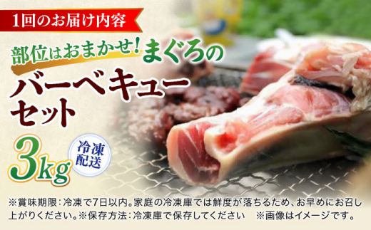 【全3回定期便】まぐろ おまかせバーベキューセット 冷凍約3kg 鮪 マグロ BBQ 魚 横須賀【横須賀商工会議所 おもてなしギフト事務局（本まぐろ直売所 横須賀本店）】 [AKAK032]