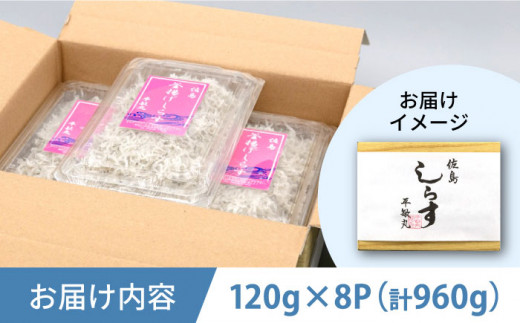 釜揚げ 湘南しらす 960g 小分け 120g×8パック / しらす 湘南 ふわふわ 食感 冷凍 国産 シラス お取り寄せ 人気 佐島 横須賀 かながわブランド 神奈川県 【平敏丸】 [AKEZ002]