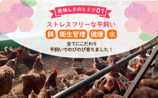 飼い方にこだわり餌にこだわった「姫様のたまご」 20個 卵 たまご 【横須賀商工会議所　おもてなしギフト事務局（岩沢ポートリー）】 [AKET007]