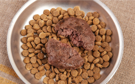 ペットフード 鹿肉 100%ハンバーグ 10個セット ペット 犬 猫 手作り 国産 てづくり こだわり ドッグフード  横須賀 【ペットフードYM japan】 [AKEX010]