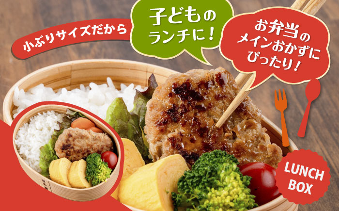 国産豚肉使用 精肉店の手づくりハンバーグ 20個【有限会社丸伸商事】 [AKFH046]