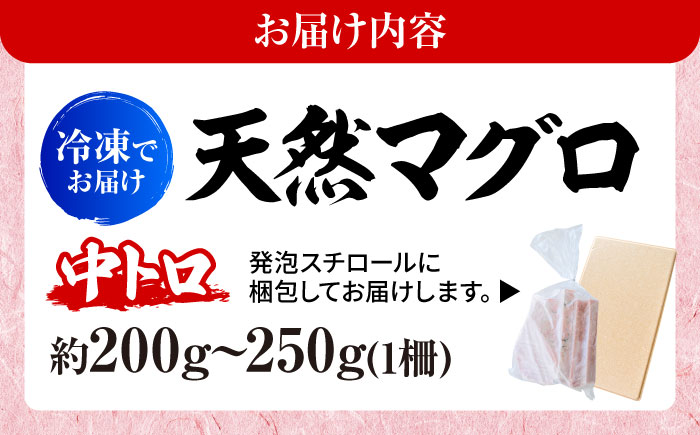 天然 本まぐろ 中トロ（約200～250g（1柵入り））【横須賀商工会議所 おもてなしギフト事務局（本まぐろ直売所 横須賀本店）】 [AKAK118]