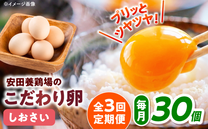 【全3回定期便】【数量限定50セット】安田養鶏場の卵 しおさい 30個入り 横須賀市 産地直送 割れ保証付き たまご 黄身 濃厚 卵 玉子 タマゴ 鶏卵  【安田養鶏場】 [AKHN008]