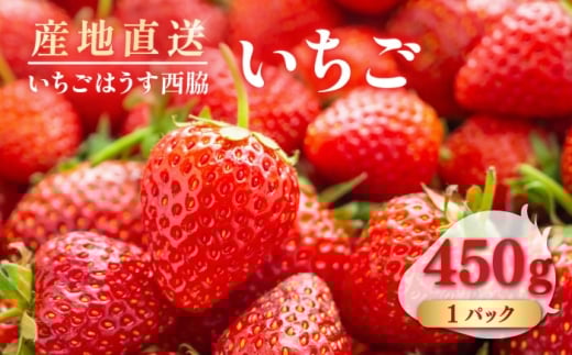 【先行予約】　【数量限定100セット】　いちご　1パック 約450g　【いちごはうす西脇】 [AKHO001]