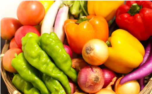 横須賀産野菜セット 10種 詰め合わせ　野菜 セット 詰め合わせ 横須賀 横須賀野菜 キャベツ 玉ねぎ ブロッコリー なす にんじん きゅうり さつまいも 里芋 ゴーヤ 大根 ほうれん草【横須賀商工会議所 おもてなしギフト事務局（三浦半島直売所）】 [AKES003]