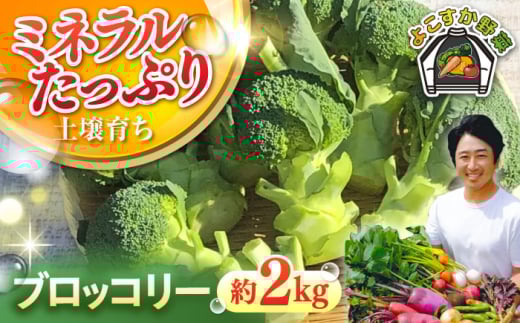 【先行予約】ブロッコリー 約2kg 野菜 やさい 【鈴也ファーム】 [AKCE018]
