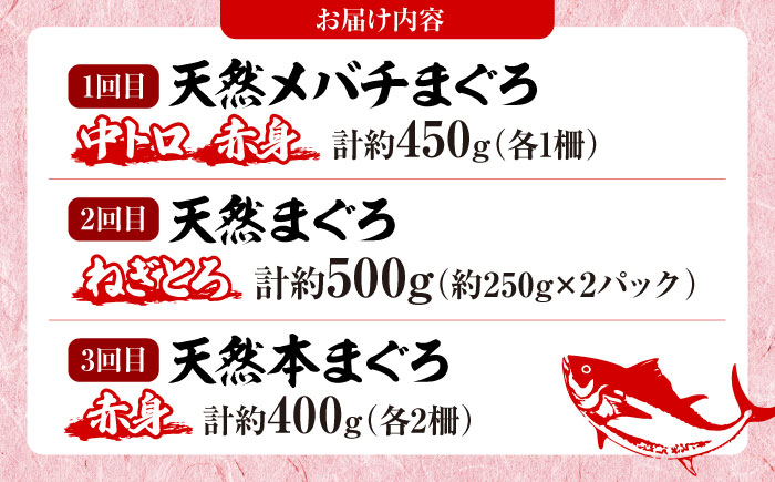 【全6回定期便】まぐろ 豪華 食べ比べ 定期便 【横須賀商工会議所 おもてなしギフト事務局（本まぐろ直売所 横須賀本店）】 [AKAK123]