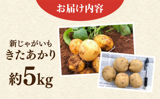 【先行予約】新じゃが きたあかり 約5kg 野菜 やさい 【鈴也ファーム】 [AKCE021]