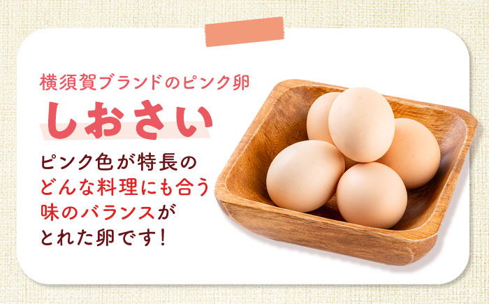 安田養鶏場の卵 しおさい 30個入り 神奈川県産 横須賀市 割れ保証付き たまご 卵 玉子 タマゴ 鶏卵 オムレツ 卵かけご飯 朝食 料理 人気 卵焼き【安田養鶏場】 [AKHN001]
